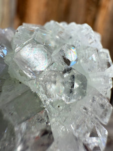 Light Mint Green Radial (Disco Ball) Apophyllite + Pink Stilbite • Maharashtra, India