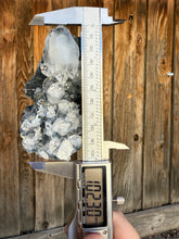 Load image into Gallery viewer, Clear Gem Apophyllite Cluster on black matrix • Maharashtra, India
