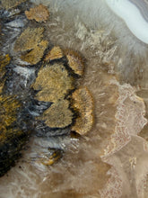 Load image into Gallery viewer, Natural Laguna Agate Collector Mineral Specimen | Chihuahua, Mexico

