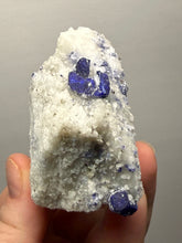 Load image into Gallery viewer, Afghan Lazurite Specimen | Deep Blue Lapis-Grade Crystal on Matrix | Collector Display Mineral

