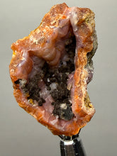 Load image into Gallery viewer, “Goblin Chalcedony” Pink and Red Druzy Botryoidal Stalactites — Tichka Massif, High Atlas, Morocco
