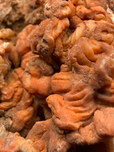 Load image into Gallery viewer, Chalcedony Quartz Rose Agate Collector Mineral Specimen – Morocco
