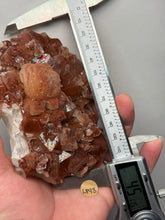 Load image into Gallery viewer, Rare Red Apophyllite + Druzy Red Stilbite Flowers — Deccan Traps, India
