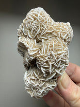 Load image into Gallery viewer, Desert Rose Selenite (Gypsum) — Mineral Display Specimen | Mexico
