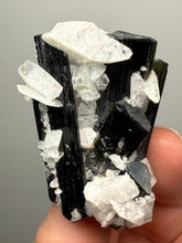 Load image into Gallery viewer, Blue Cap Dark Green Stak Nala Tourmaline on Cleavelandite Matrix – Haramosh Mountains, Pakistan
