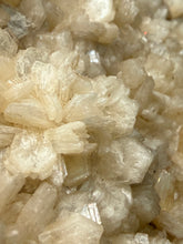 Load image into Gallery viewer, Shiny Peach Stilbite on Druzy Red Heulandite – High-Grade Collector Mineral Specimen from India
