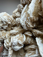 Load image into Gallery viewer, Desert Rose Selenite (Gypsum) — Mineral Display Specimen | Mexico
