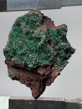 Load image into Gallery viewer, Brochantite Collector Mineral Specimen – Vivid Green Copper Crystals from Morocco
