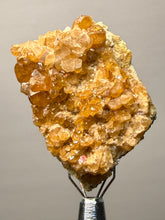 Load image into Gallery viewer, Hessonite Garnet Cluster on Matrix – Natural Collector Specimen from Pakistan | High-Grade Orange-Red Garnet Crystals

