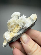 Load image into Gallery viewer, Moroccan Ram’s Horn Selenite (Gypsum) Crystal Display Specimen
