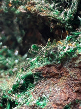 Load image into Gallery viewer, Brochantite Collector Mineral Specimen – Vivid Green Copper Crystals from Morocco
