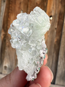 Light Mint Green Radial (Disco Ball) Apophyllite + Pink Stilbite • Maharashtra, India
