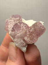 Load image into Gallery viewer, Botryoidal Lavender Fluorite on Quartz Matrix | Hunan, China | Collector Mineral Display Specimen
