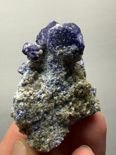 Load image into Gallery viewer, Afghanite &amp; Lazurite on Matrix Collector Display Specimen | Badakhshan Region, Afghanistan
