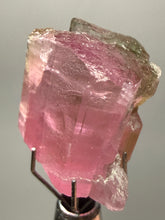 Load image into Gallery viewer, Raw Bi-Color Pink and Green Tourmaline Crystal Specimen | Ocean View Mine, Pala, California, USA
