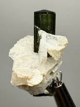 Load image into Gallery viewer, Dark Green Stak Nala Tourmaline and Cleavelandite – Haramosh Mountains, Pakistan | Thumbnail Specimen
