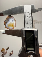 Load image into Gallery viewer, Lot of 9 Small Malawi Agate Halves – Polished Rare Colorful Collector Specimens
