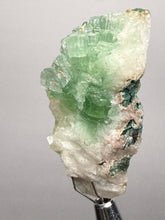 Load image into Gallery viewer, Green Radial “Disco Ball” Apophyllite | Maharashtra, India
