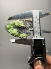 Load image into Gallery viewer, High-Grade Green Wavellite Collectors Specimen - Radiating Botryoidal Crystal Formation - Arkansas, USA
