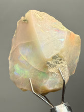 Load image into Gallery viewer, Precious Opal with Color Play | Welo, Ethiopia
