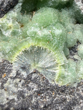 Load image into Gallery viewer, High-Grade Green Wavellite Collectors Specimen - Radiating Botryoidal Crystal Formation - Arkansas, USA
