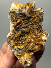Load image into Gallery viewer, Natural Vanadinite on Matrix | Collector Mineral Specimen | Morocco
