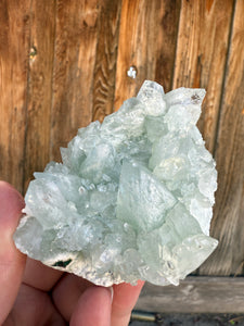 Mint Green Apophyllite Cluster • Maharashtra, India