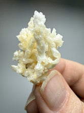 Load image into Gallery viewer, High-Grade Coral Aragonite Crystal Specimen – Wenshan Mine, Yunnan, China
