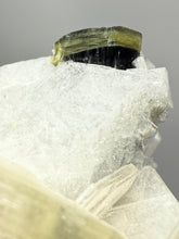 Load image into Gallery viewer, Dark Green Cap Stak Nala Tourmaline with Cleavelandite Matrix – Haramosh Mountains, Pakistan
