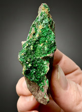 Load image into Gallery viewer, Brochantite Collector Mineral Specimen – Vivid Green Copper Crystals from Morocco
