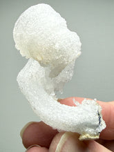 Load image into Gallery viewer, RARE COMBO Moroccan Ram’s Horn Selenite (Gypsum) with Purple Fluorite Display Specimen
