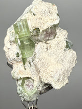 Load image into Gallery viewer, Watermelon Tourmaline on Matrix – Collector Mineral Specimen from Pakistan
