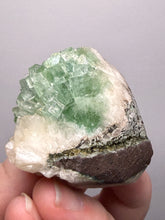 Load image into Gallery viewer, Green Radial “Disco Ball” Apophyllite | Maharashtra, India
