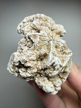Load image into Gallery viewer, Desert Rose Selenite (Gypsum) — Mineral Display Specimen | Mexico
