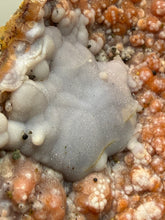 Load image into Gallery viewer, “Goblin Chalcedony” Pink &amp; Orange Druzy Botryoidal Stalactites — Tichka Massif, High Atlas, Morocco
