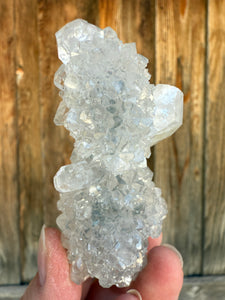 Clear Gem Apophyllite Encrusted Stalactite • Maharashtra, India