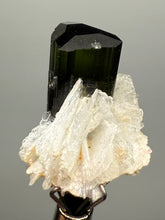 Load image into Gallery viewer, Dark Green Cap Stak Nala Tourmaline with Cleavelandite Flower – Haramosh Mountains, Pakistan | Thumbnail Specimen
