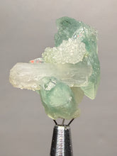 Load image into Gallery viewer, Luminous Mint Apophyllite with Glittering Druzy Sugar Quartz – India
