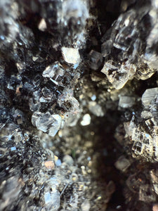 Druzy Black Apophyllite • Maharashtra, India