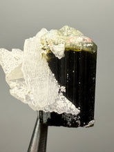 Load image into Gallery viewer, Dark Green Cap Stak Nala Tourmaline with Cleavelandite Flower – Haramosh Mountains, Pakistan | Thumbnail Specimen
