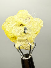 Load image into Gallery viewer, Vibrant Yellow Brucite Thumbnail Mineral Specimen | Collector Crystal from Killa Saifullah District in Balochistan Province, Pakistan
