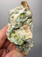Load image into Gallery viewer, High-Grade Green Wavellite Collectors Specimen - Radiating Botryoidal Crystal Formation - Arkansas, USA
