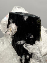 Load image into Gallery viewer, Blue Cap on Dark Green Stak Nala Tourmaline on Cleavelandite on Matrix – Haramosh Mountains, Pakistan
