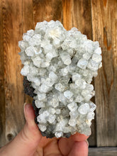 Load image into Gallery viewer, Clear Gem Apophyllite Cluster • Maharashtra, India
