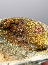 Load image into Gallery viewer, Bivalve (Pelecypoda) Fossil Sea Shell with Chalcopyrite | Mineralized Fossil Specimen | Indonesia
