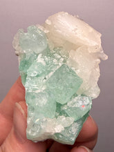 Load image into Gallery viewer, High-Grade Gemmy Green Apophyllite on White Stilbite  | Deccan Traps, Maharashtra, India
