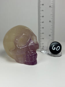 Fluorite • Rainbow Fluorite Skull