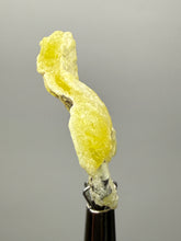 Load image into Gallery viewer, Vibrant Yellow Brucite Thumbnail Mineral Specimen | Collector Crystal from Killa Saifullah District in Balochistan Province, Pakistan
