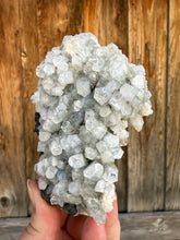 Load image into Gallery viewer, Clear Gem Apophyllite Cluster • Maharashtra, India
