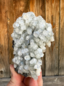 Clear Gem Apophyllite Cluster • Maharashtra, India